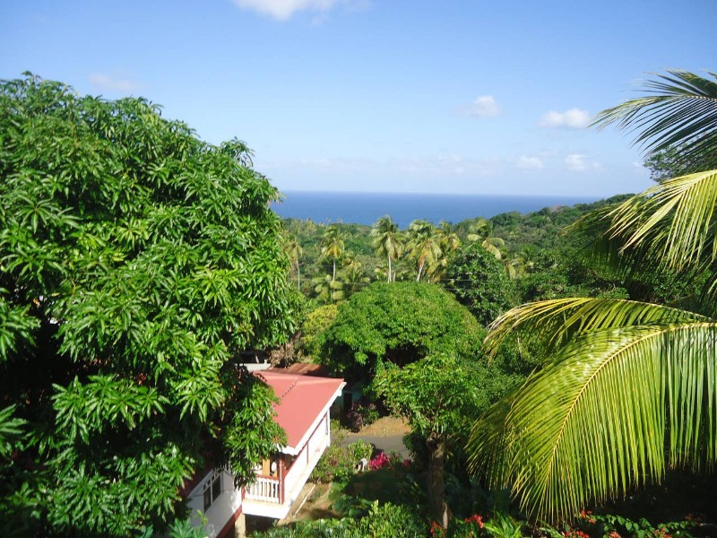 Casa Philipe, Dominica Airbnb