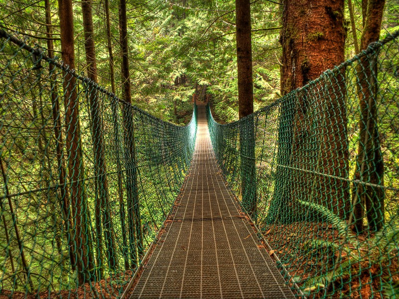 Juan de Fuca Trail Suspension Bridge, Vancouver Island, BC