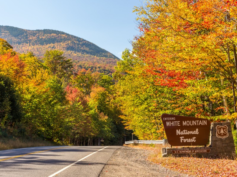 White Mountain National Forest