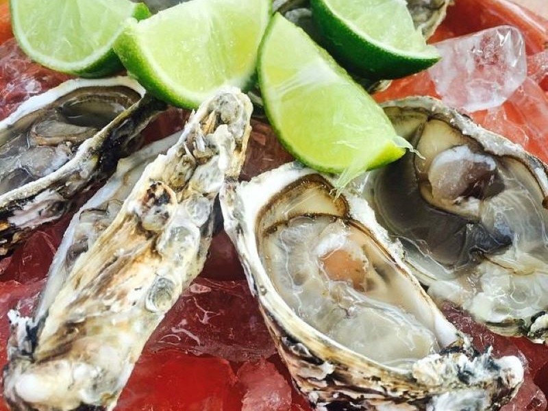 Oysters in Florianópolis, Brazil