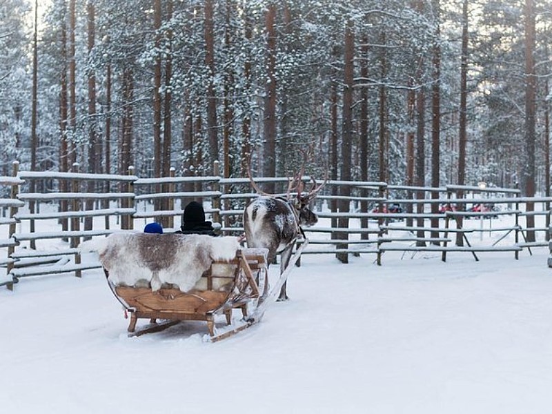 Rovaniemi Snowmobile Safari to Reindeer Farm and Santa Claus Village