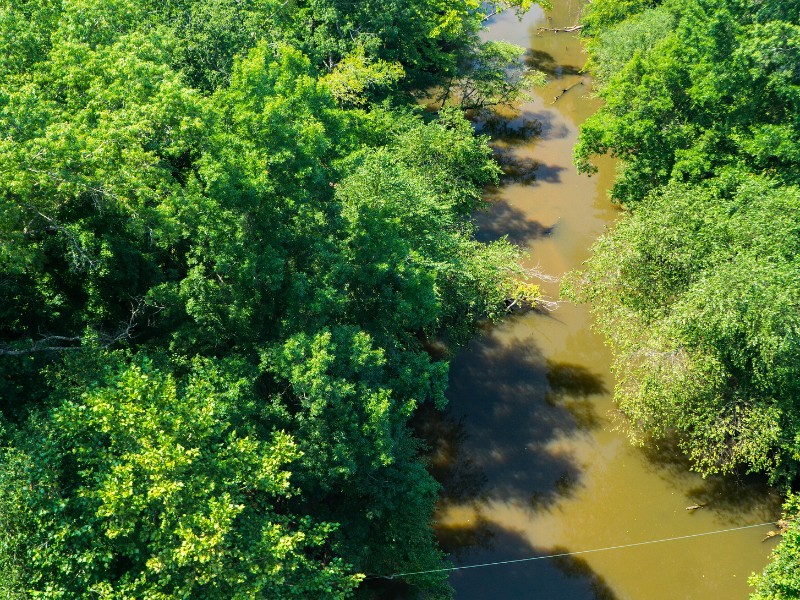 View of the Appomattox River from High Bridge