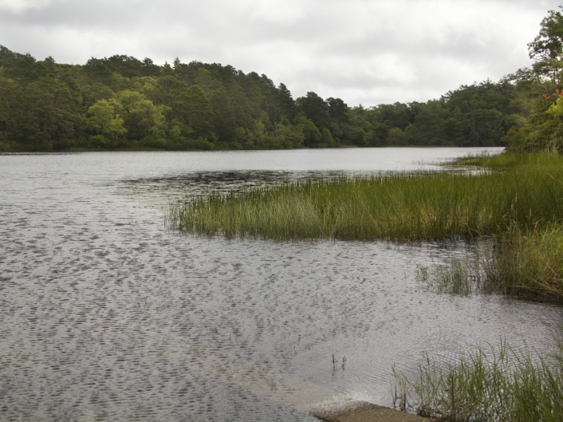 Little Cliff Pond in Nickerson State Park on Cape Cod