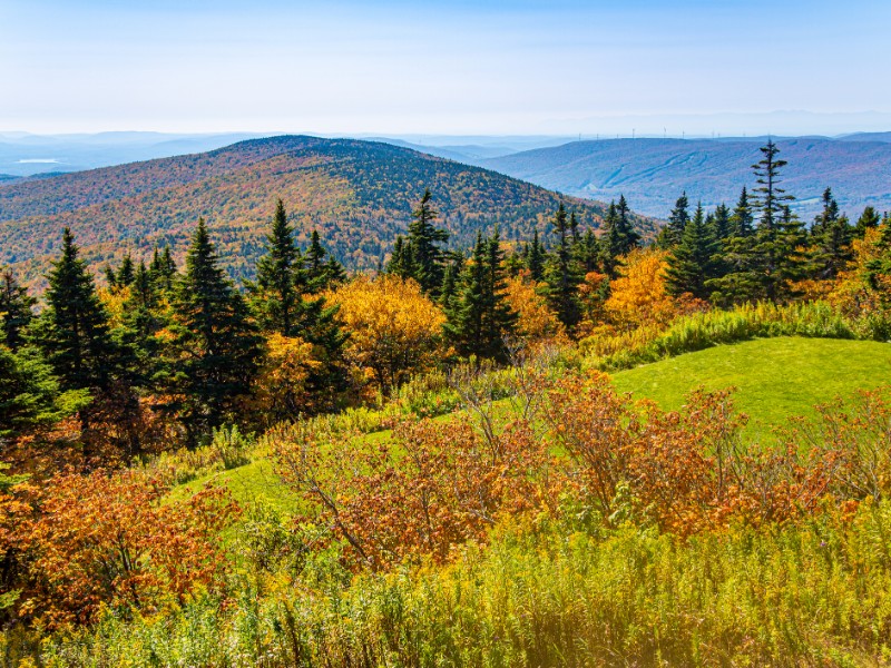 View from the top of Mount Greylock 