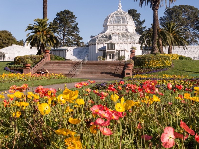 Springtime in San Francisco's Golden Gate Park with the Conservatory of Flowers building.