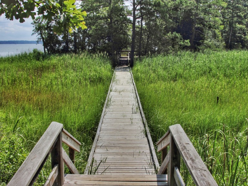 York River State Park fossil beach trail