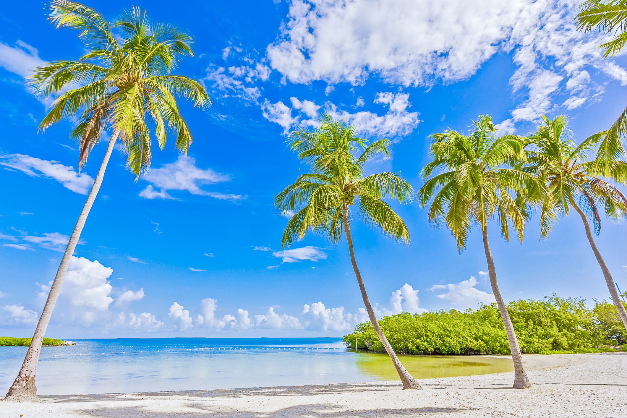 Islamorada, Florida