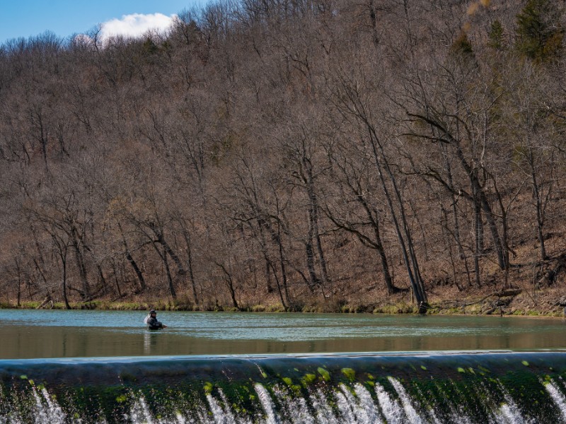 Fly fishing at Bennett Spring State Park