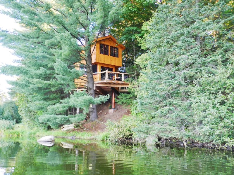 Vermont Tree Cabin on Walker Pond