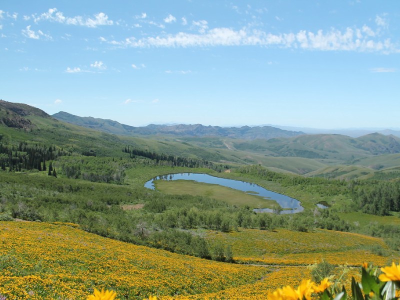 Jarbridge Wilderness, Nevada