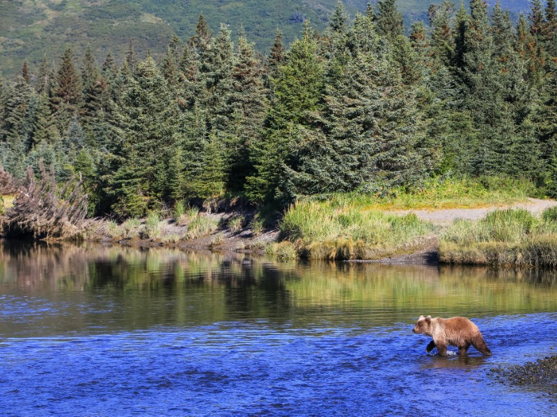 Lake Clark National Park