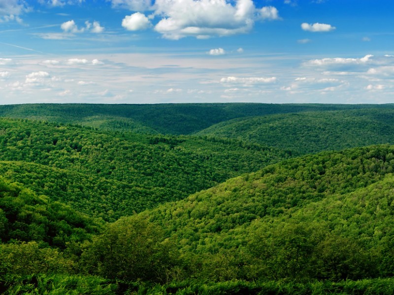 Losey Vista, Susquehannock State Forest, Pennsylvania