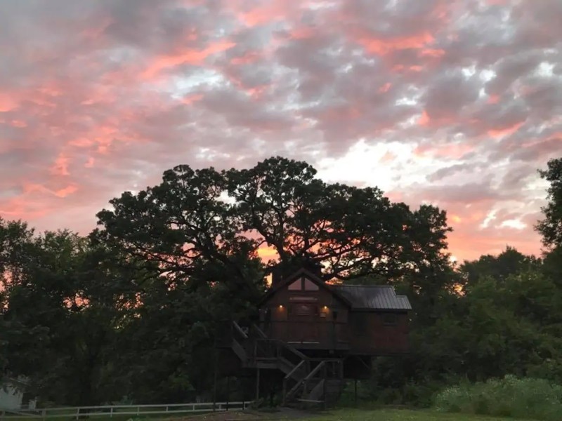 Treehouse Lofty Lodge