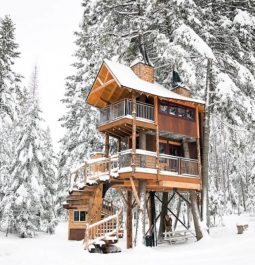 stunning treehouse in the winter