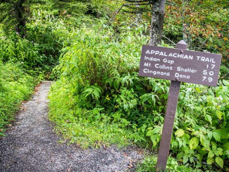 Appalachian Trail Summit