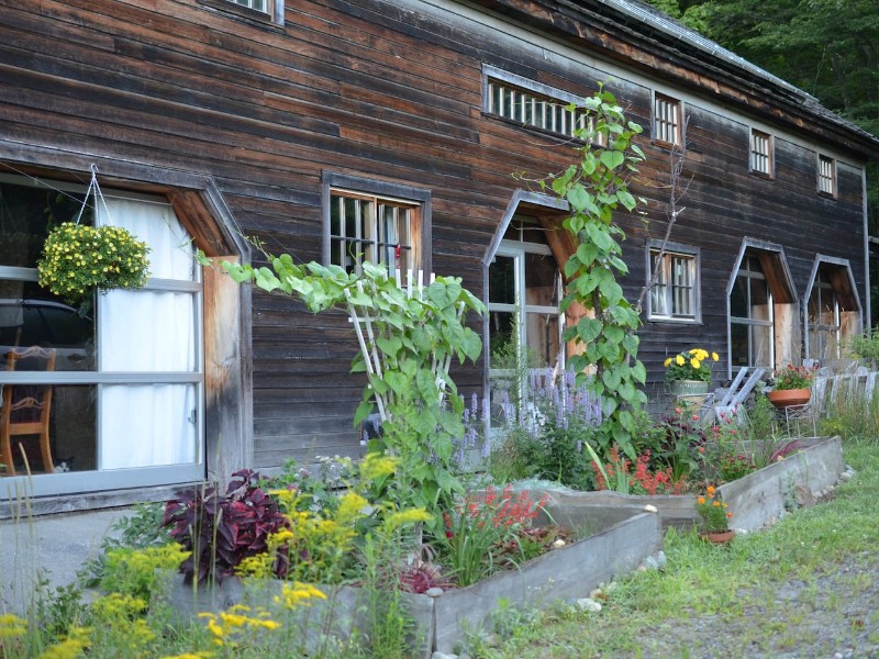 Garden at Carriage Barn 