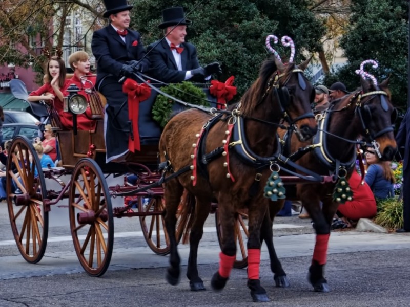 Christmas Carriage Ride in Aiken, South Carolina