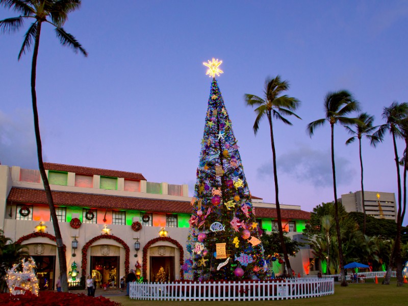 Honolulu Hale (City Hall), “Honolulu City Lights” features a 50-foot Norfolk pine Christmas tree, giant Yuletide displays and live entertainment.