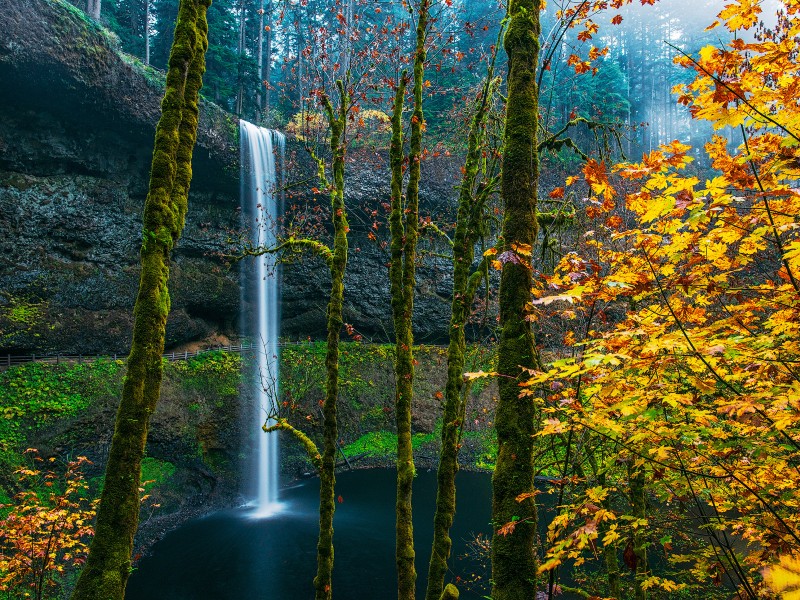 Silver Falls