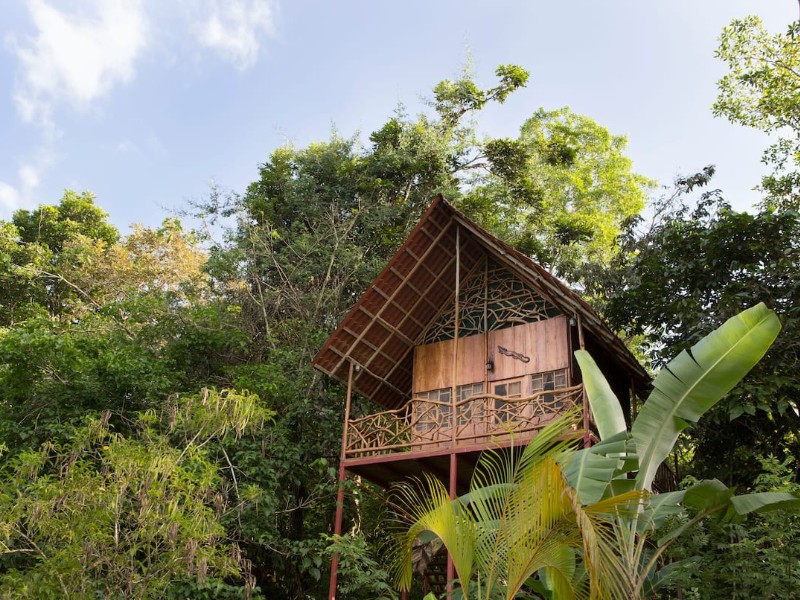 Rainforest Tree House with Hot Springs