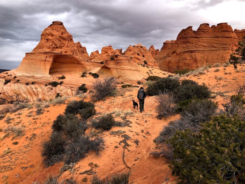 South Coyote Buttes