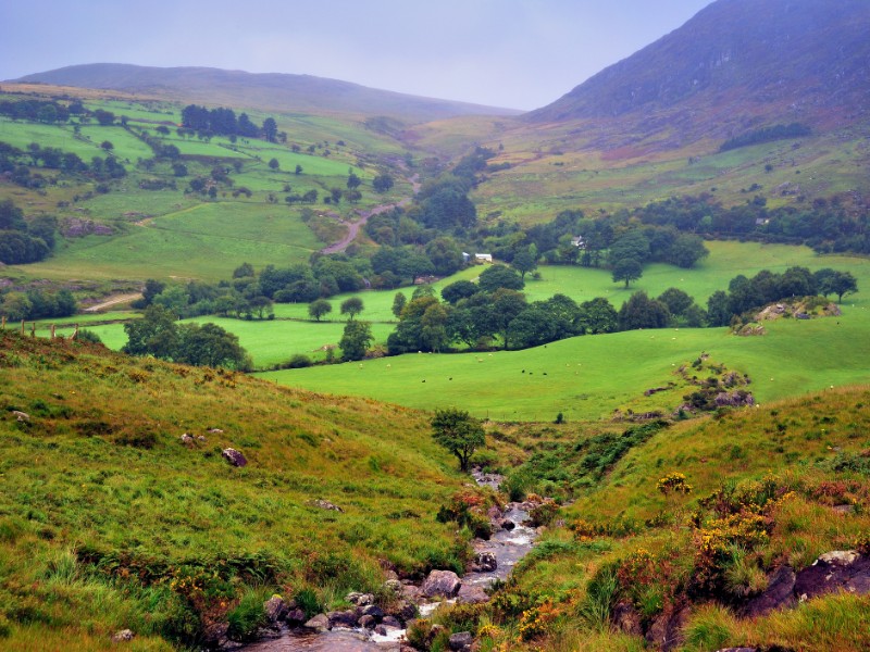 Gleninchaquin Park, Ireland