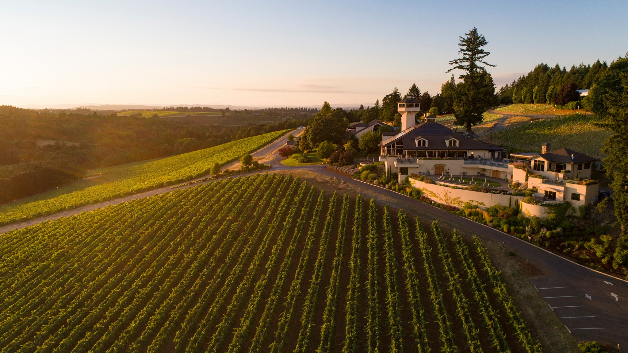 Willamette Valley Vineyards