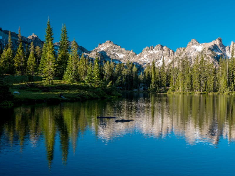 Alice Lake, Idaho