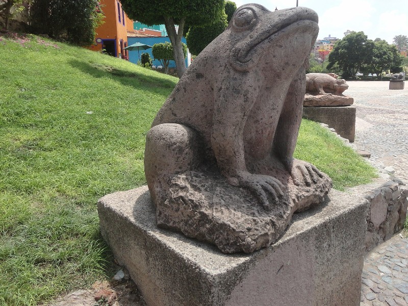 Frogs in Plaza Hidalgo