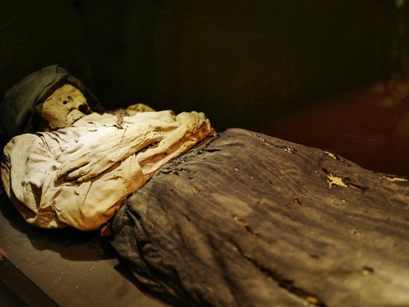 Mummy at Museo de las Momias de Guanajuato, Mexico