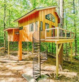 Treehouse surrounded by trees with spiral staircase