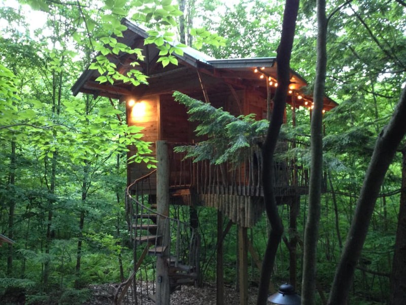 Adirondack Tree House