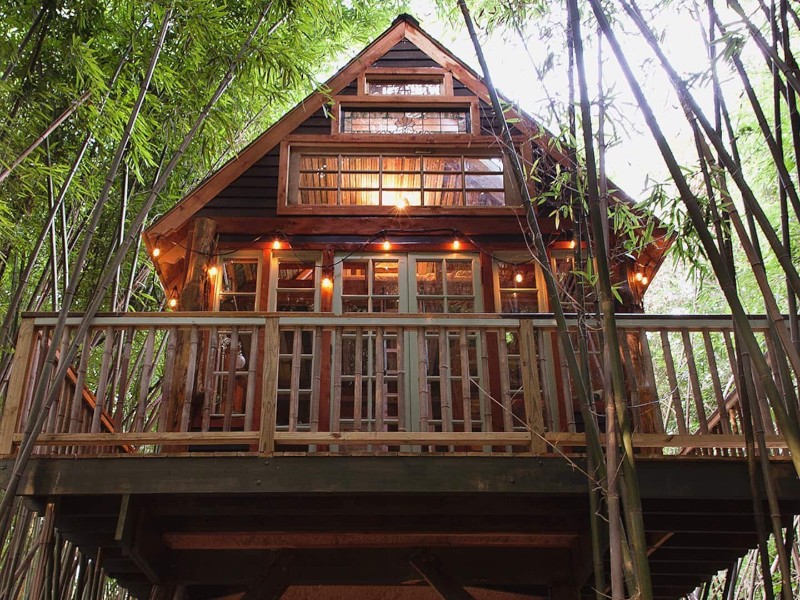 Atlanta Alpaca Treehouse in Bamboo Forest