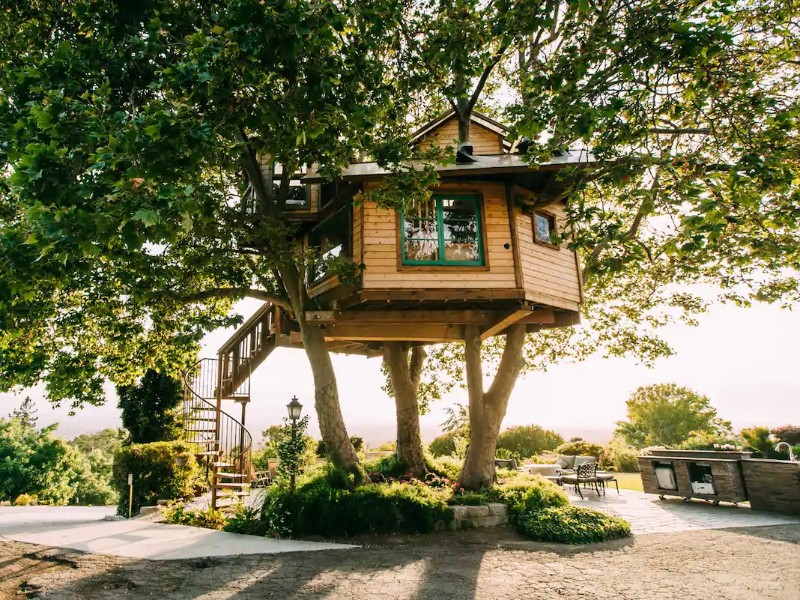 San Jose Treehouse