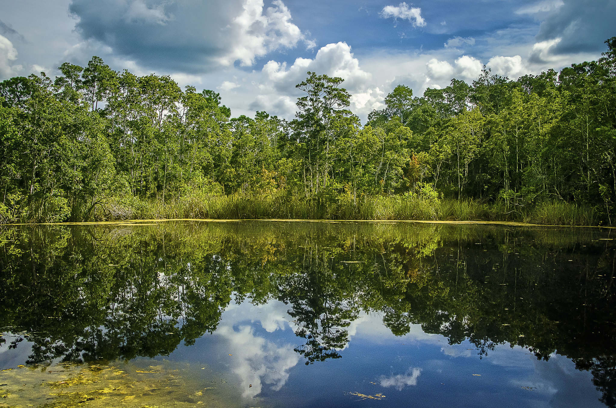 Chassahowitzka River