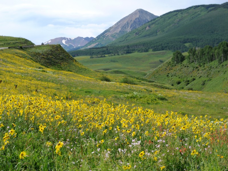 Crested Butte, Colorado