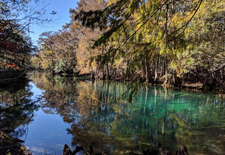 Manatee Springs