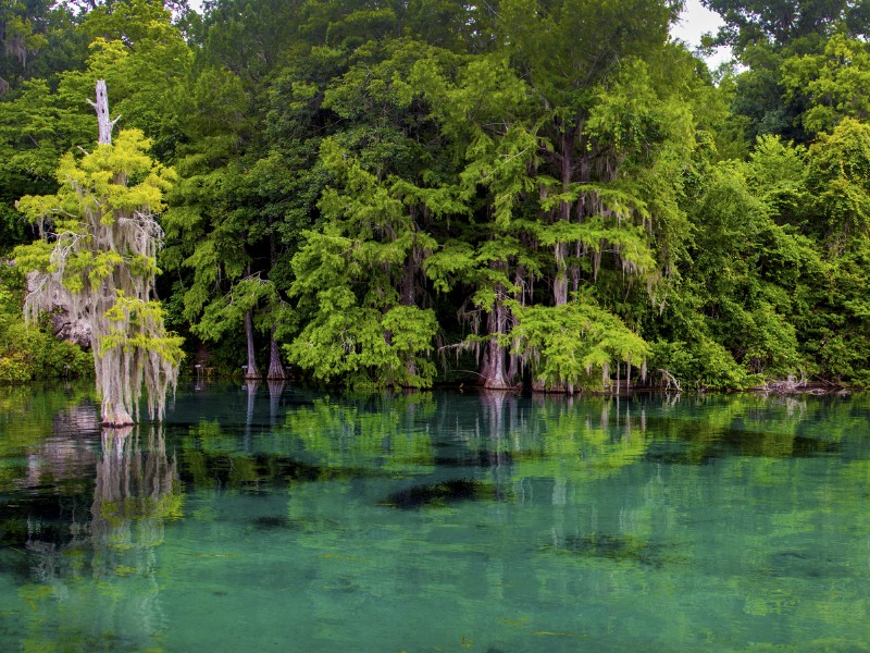 Merritt's Mill Pond