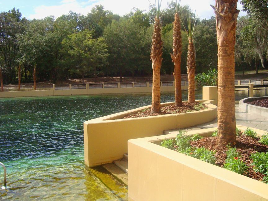 Salt Springs, Ocala National Forest