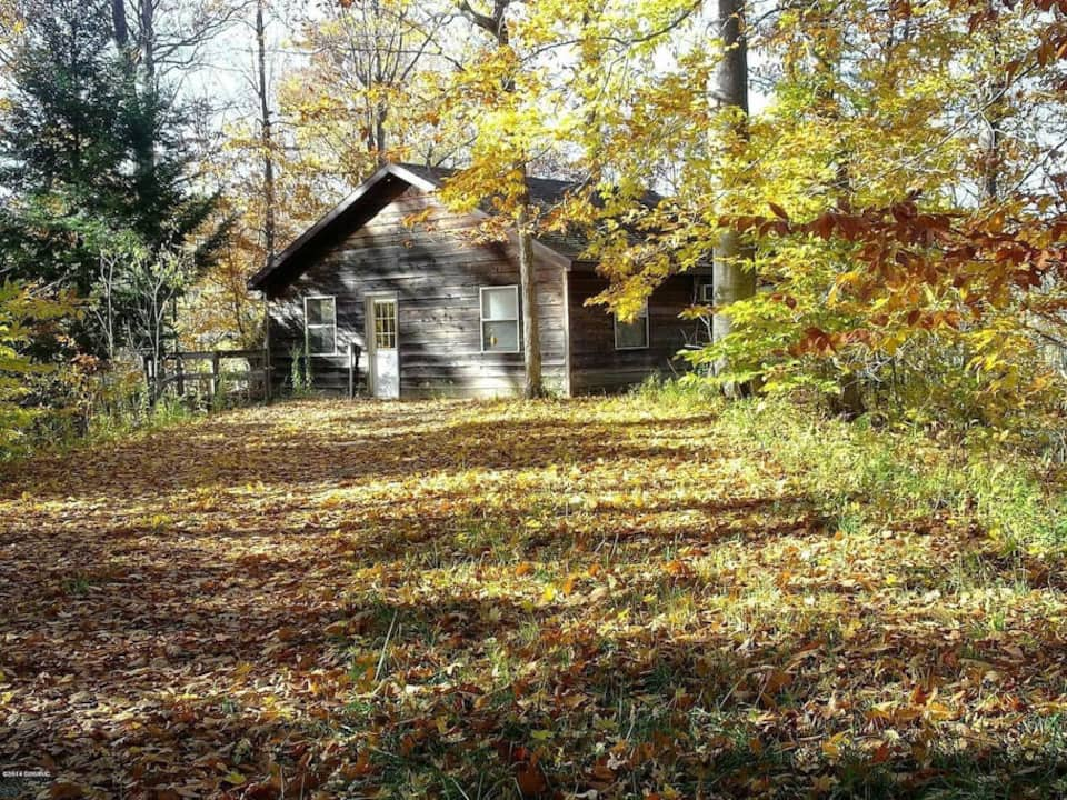 Property View - Sanitized Riverview Cabin 