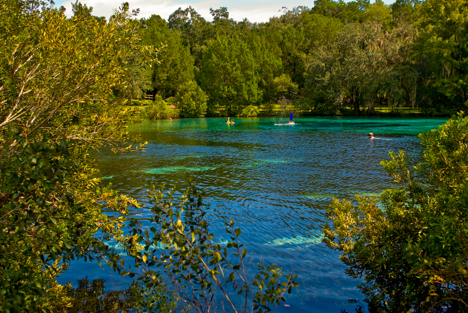 Silver Glen Springs