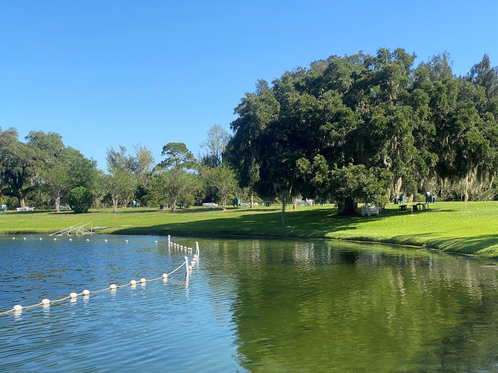 Warm Mineral Springs in Venice