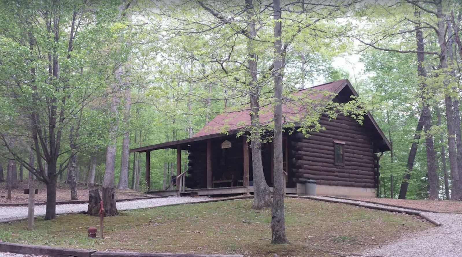 Nature at High Ridge Cabin