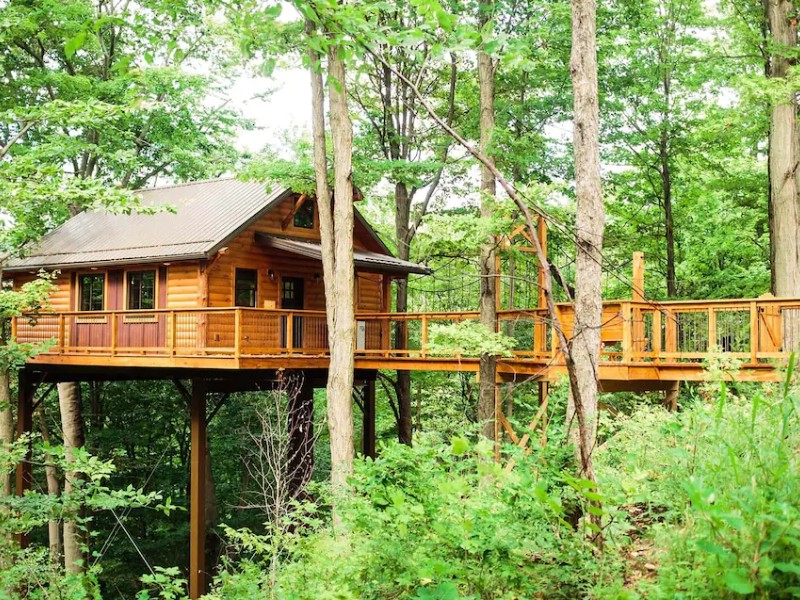 Walkway to Luxury Treehouse Getaway with Breathtaking Views