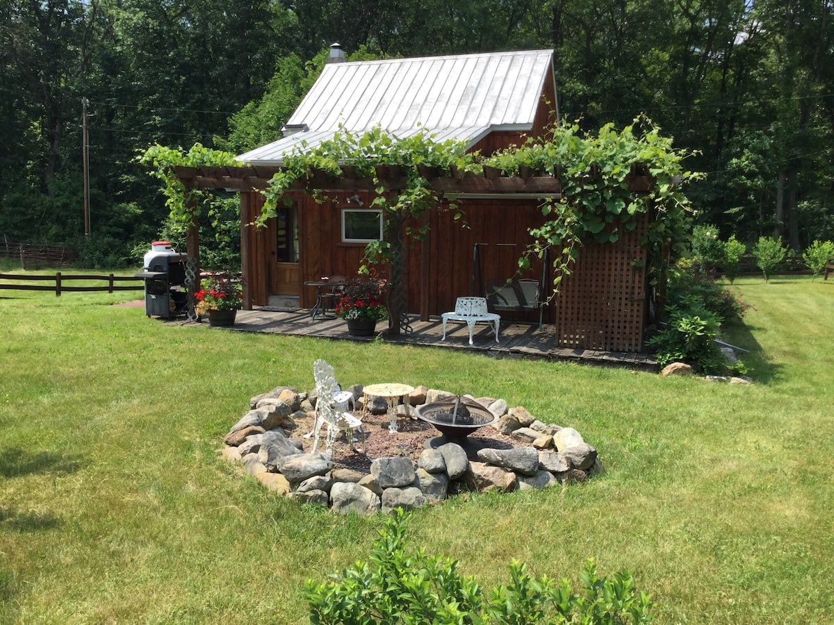 Yard at the Glowing Logs Cabin