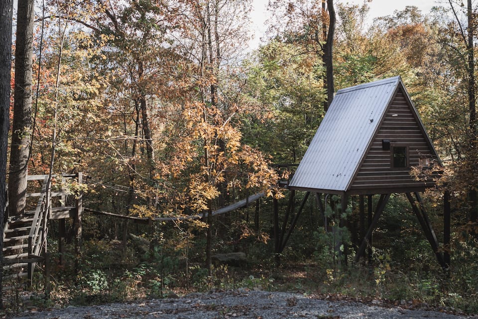 Scene at Treehouse Village - The Arrow