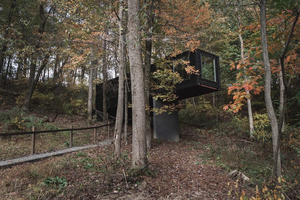 Forested Area - Treehouse Village - The Box