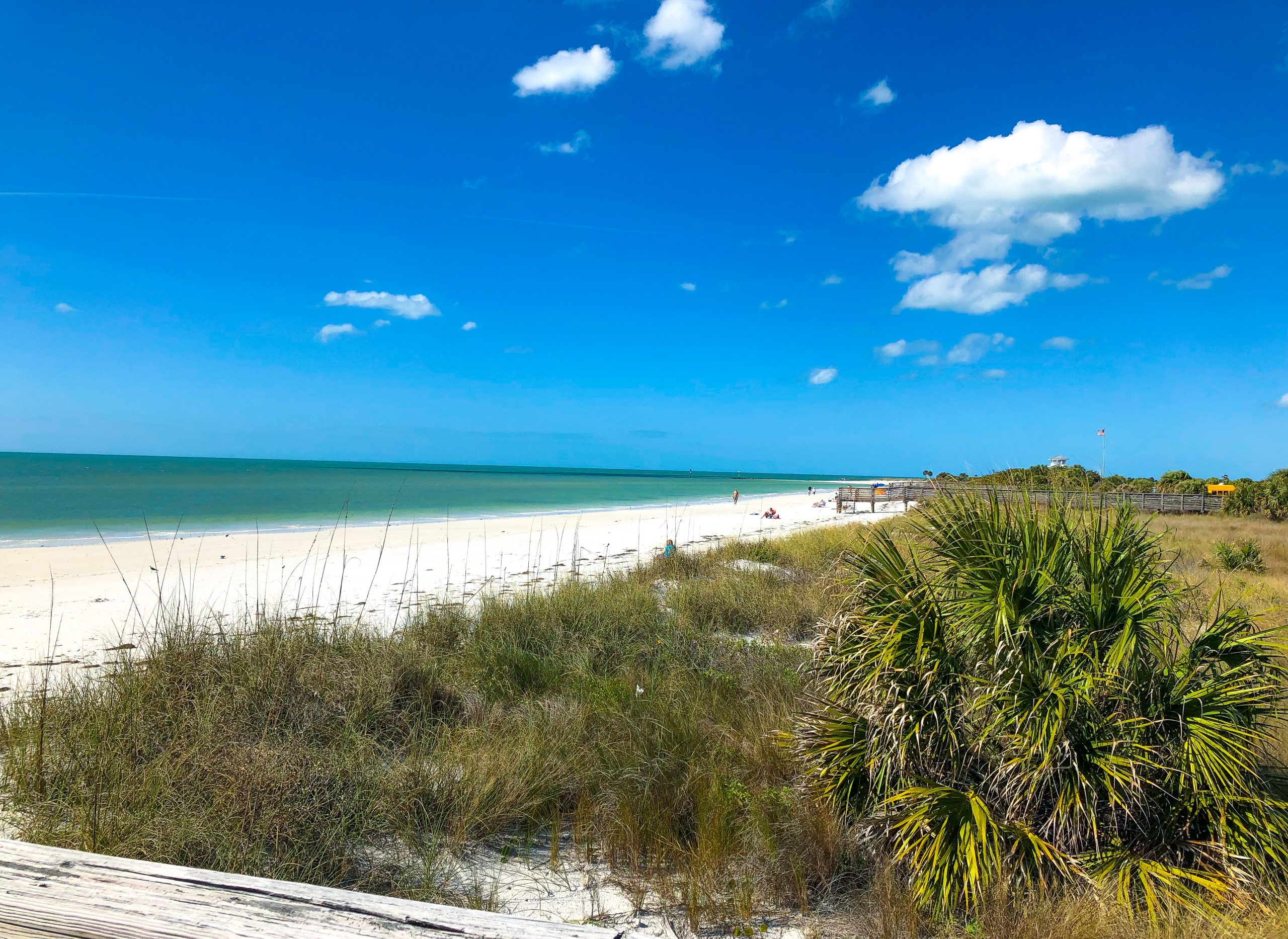 Honeymoon Island State Park