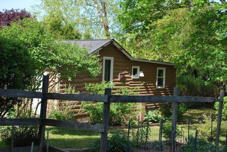 Wooded View of Log Cabin Near Newport