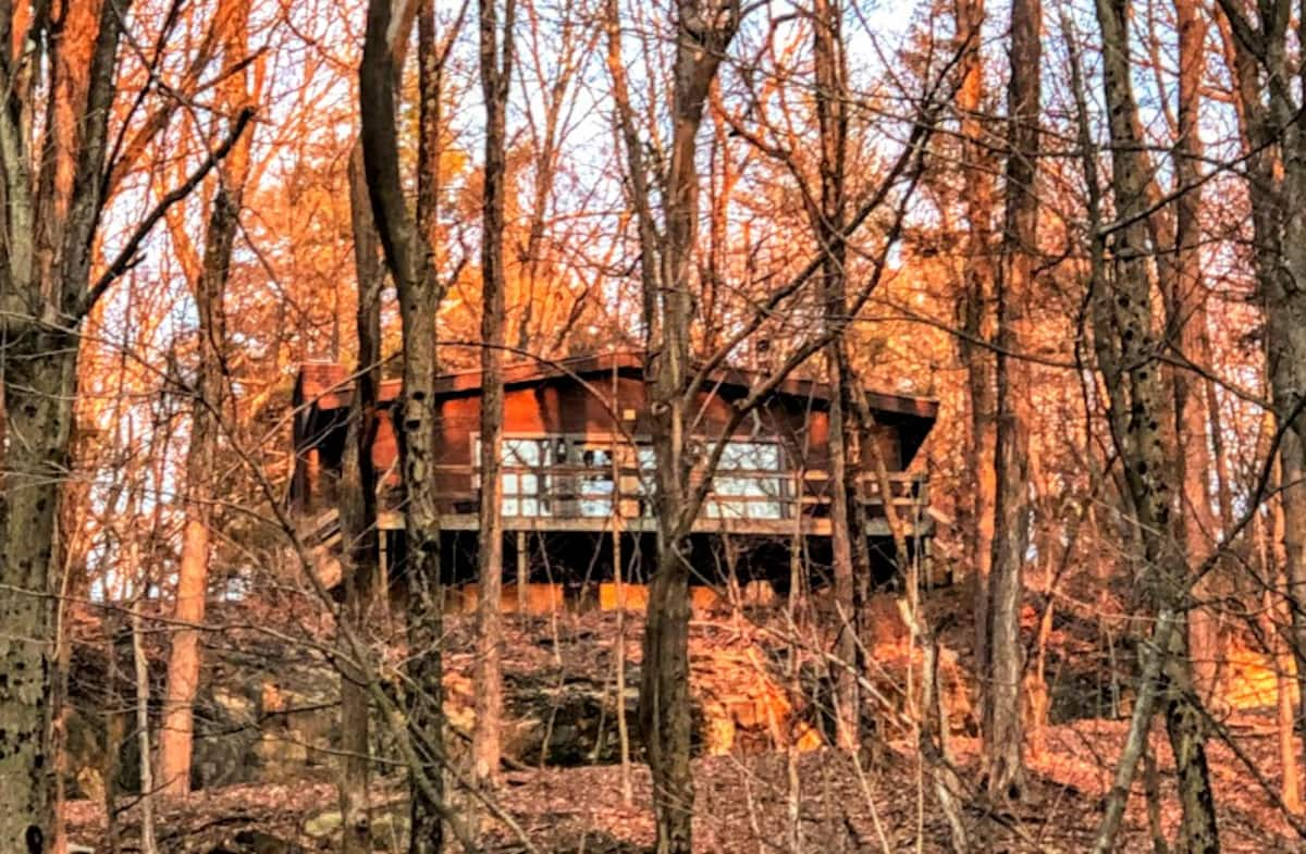 Through the Trees at Ridgetop Cabin